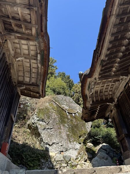 Kogane-no-Oiwa