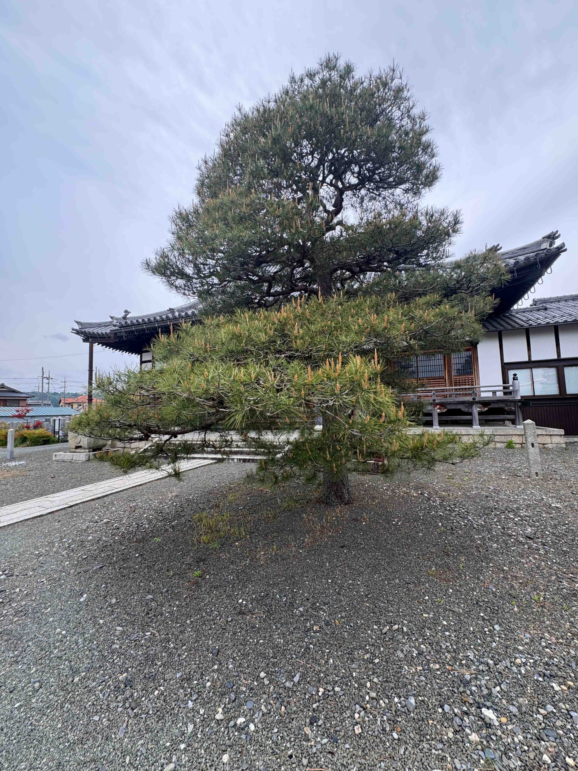 Sotaku-ji Temple